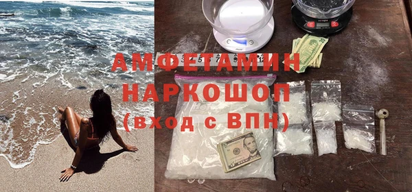 гидра Арсеньев