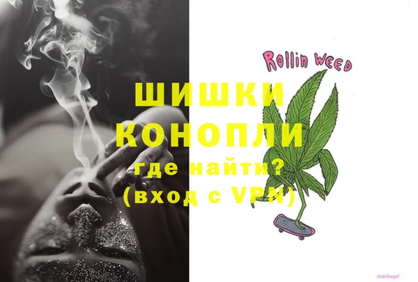 гидра Арсеньев