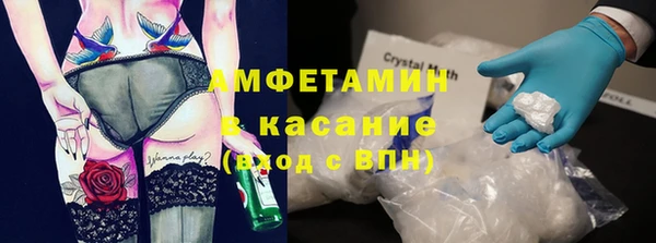 гидра Арсеньев