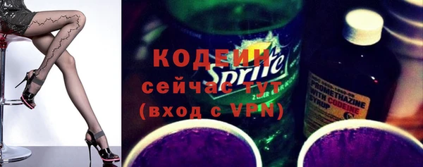 гидра Арсеньев