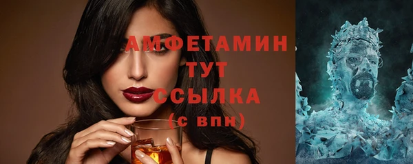 гидра Арсеньев