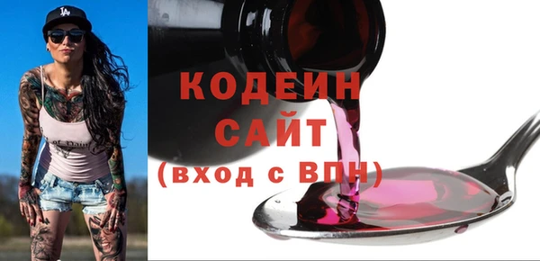 гидра Арсеньев