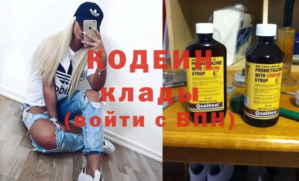 гидра Арсеньев