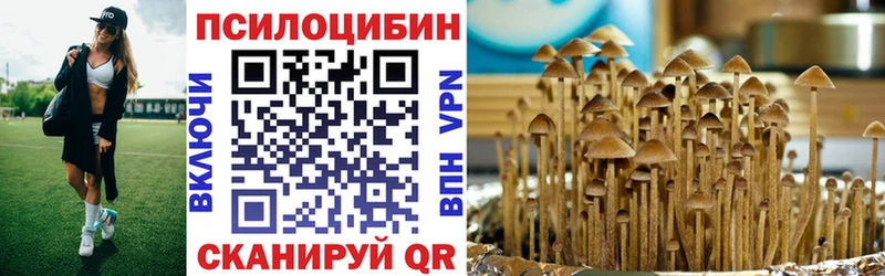 Галлюциногенные грибы мицелий  kraken зеркало  Усть-Катав 